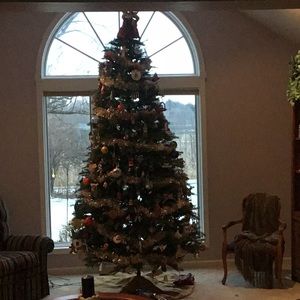 Meet your Posher, Cathy